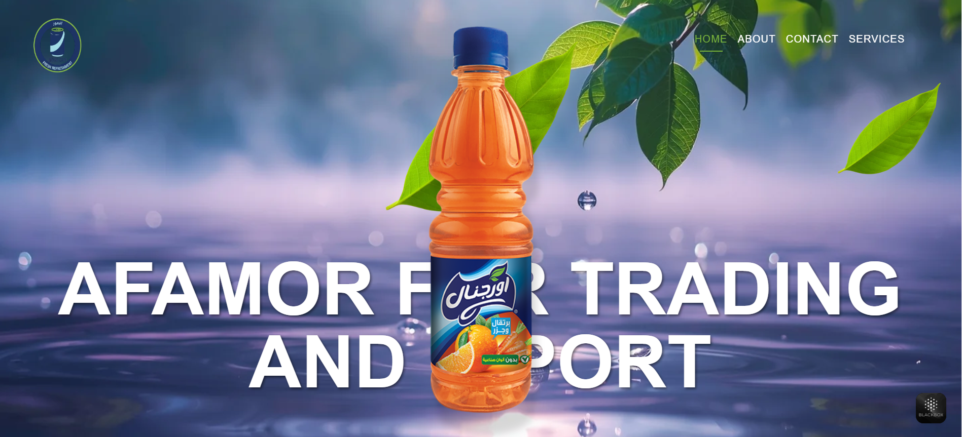 Personal Portfolio Images